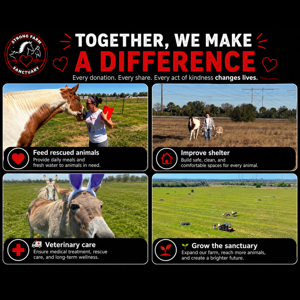 Informational graphic showing how purchases support Strong Farm Sanctuary. The image highlights four key areas funded by each purchase: feeding rescued animals, improving shelter, providing veterinary care, and helping the sanctuary grow through expanded rescue efforts and facilities.