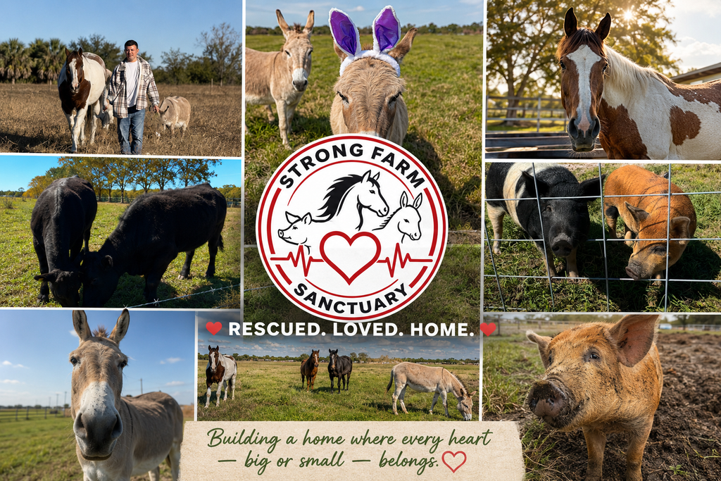 Photo collage featuring rescued animals at Strong Farm Sanctuary, including horses, donkeys, pigs, and cattle, alongside the sanctuary logo. The collage highlights the sanctuary's mission with the messages "Rescued. Loved. Home." and "Building a home where every heart—big or small—belongs."